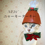 ♡NEWニャーキーターキーセット♡