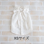 [犬服]  XSサイズ 完成品 チワワ　　　　　　　　　　　レース生地 キャミソールワンピース 背中開き バックオープン