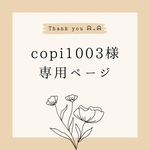 Copi1003様 専用ページ ❁⃘*.ﾟ