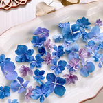 【ドライフラワー】紫陽花ミックス
