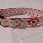 36~50cm🍓ミニイチゴ柄首輪 中型犬