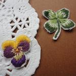刺繍ワッペン　パンジーと四つ葉のクローバー