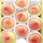 岡山の白桃 (❦晩生品種おまかせ❦)　贈答用 中箱　８玉前後