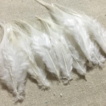 フェザー 羽 ホワイト 10枚セット 5-10cm 金具付き