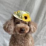 ひまわり🌻麦わら帽子👒(ミントグリーンリボン)(中)小さめ