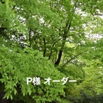 P様 オーダー