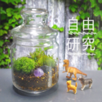 【夏休みの自由研究に！動物セット】楽しい苔テラリウムハンドメイドキット フタつき【夏休みの工作・宿題】