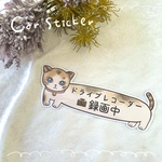 ねこ ドライブレコーダー シール ドラレコ 車用シール カーステッカー