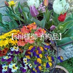 【shi様御予約品】