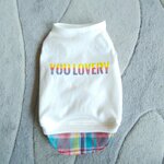 犬服！Ｌsize！カラフル　チェック重ね着