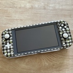 Switchライトケース