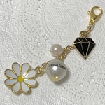 パールチャーム💎Seventeen