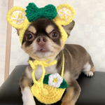 犬用＆猫用 レモンくまさん帽子🍋 みかんくまさん帽子にも！被り物