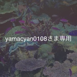 yamacyanさま専用ページ