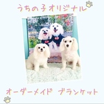 kn-sms様専用