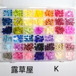 再販●送料無料 小さめ花材セットK ケース入り ハーバリウム印鑑 レジン封入 テラリウム●