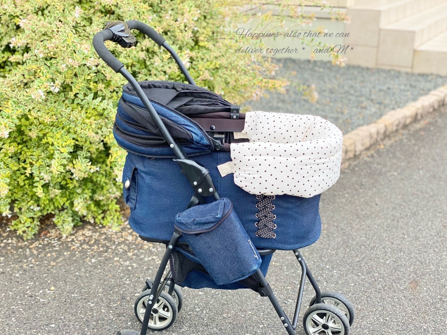 MOther Cart ペットカート 黒 花柄クッション ペットパラダイス ペットカートクッション 遠赤外線 《カーキー