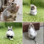 ねずみさんのうちの子ポンポンチャーム