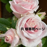 🦋R様専用ページ