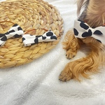 犬 猫 リボン チョーカー 犬服