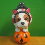 ハロウィン★キャバリア