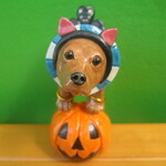 ハロウィン★ミニチュアピンシャー