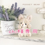 【Reserved】テディdog【chi様専用】