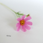 枯れない癒しの花✿クレイフラワーNO.K8−3