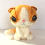 猫 スコティッシュホールド【送料無料】