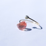 lunar eclips ring