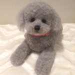 スワン様専用 リクエスト品 【トイプードル シルバー】