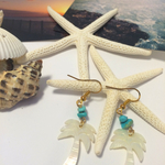 再販★シェルピアス