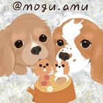 キャバリアオーダーイラスト
