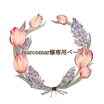 marcomar様専用ページ⭐︎⭐︎【フランス生地✳︎アネモネサコッシュ3点】