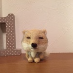 チベットスナギツネ　ミニミニ(再販）