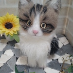 （mokko-moko様専用ページ）最愛の白キジトラちゃん