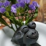 にゃーご様の専用ページ
