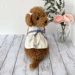 ＜SS・パピーちゃん>ブルーローズのワンピース(リボン付き)