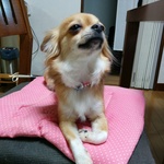 ★★お客様専用窓口★★