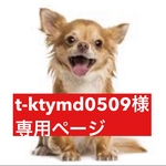 専用ページ