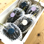 【送料無料】2.5㎏  皮ごと食べれる黒ぶどう 長野パープル【5～7房】【家庭用】
