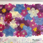 ♡new♡作家様必見♡押し花MIXセット♡押し花セット