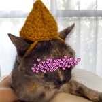ホイップ帽子.ﾏﾛﾝｸﾘｰﾑ.どんぐり帽子.9月.ニット帽.猫.被り物.コスプレ.毛糸