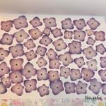♡new♡ 作家様必見♡可愛い紫陽花の押し花セット♡