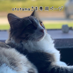 ototamaさま専用ページ