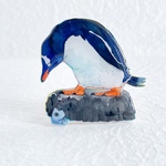 ジェンツーペンギン、狙う。