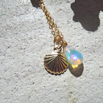 Happiness is a little thing with shell...14kgf