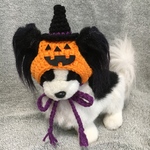 ハロウィン🎃カボチャ帽子❤️小型犬用帽子