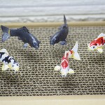 『　noboruminne様専用　』錦鯉のみ　受注製作　