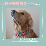 ⭐︎悦子様専用カートです⭐︎他の方のご購入はお控えくださいm(_ _)m